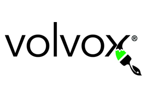 Volvox